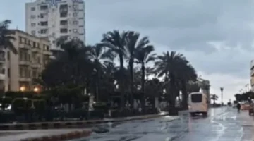 توقعات حالة الطقس في مصر غدًا الإثنين 16 مارس وأجواء مائلة للدفء